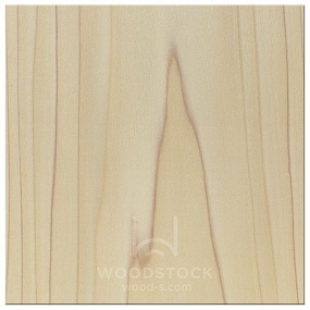 ������ [Poplar]