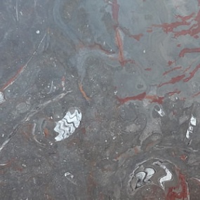 Gran Fossil